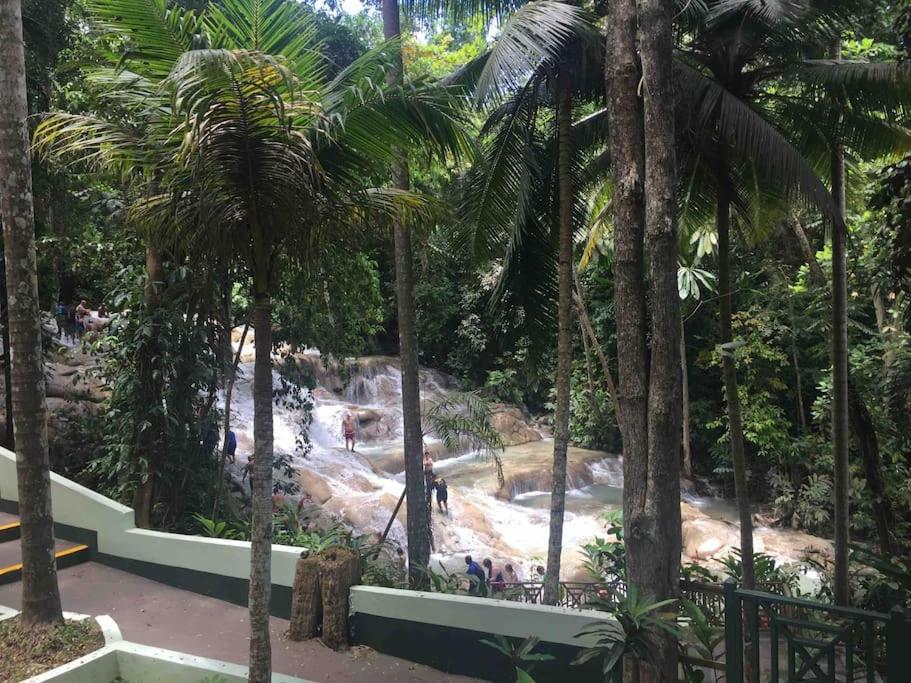 Lulu Bell Mystic Ridge @73 Apartment. Ocho Rios Exterior photo