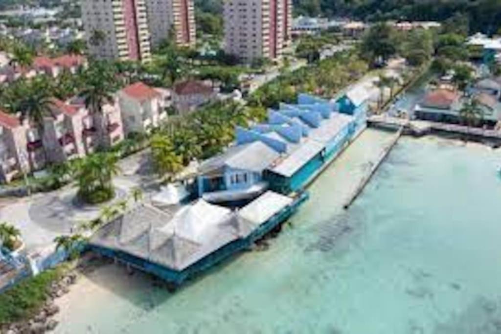 Lulu Bell Mystic Ridge @73 Apartment. Ocho Rios Exterior photo
